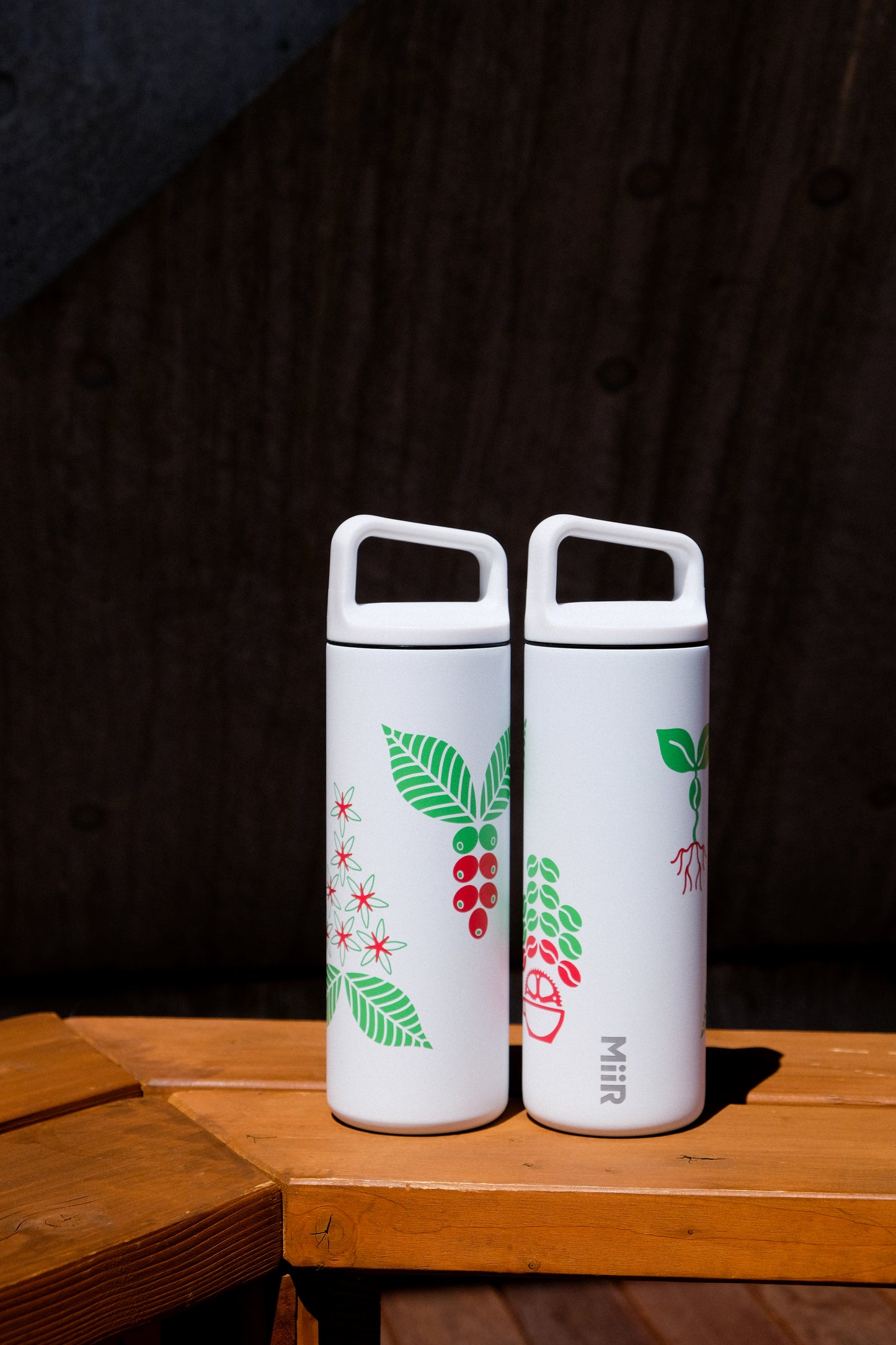 Coffee Plant Insulated Bottle 16oz